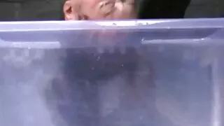 Ta pigistas tema nahast kiisu